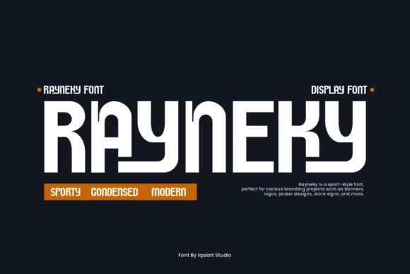 Rayneky: A Bold Font for Business