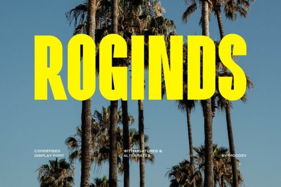 Roginds: A Bold Sans Serif for Impact